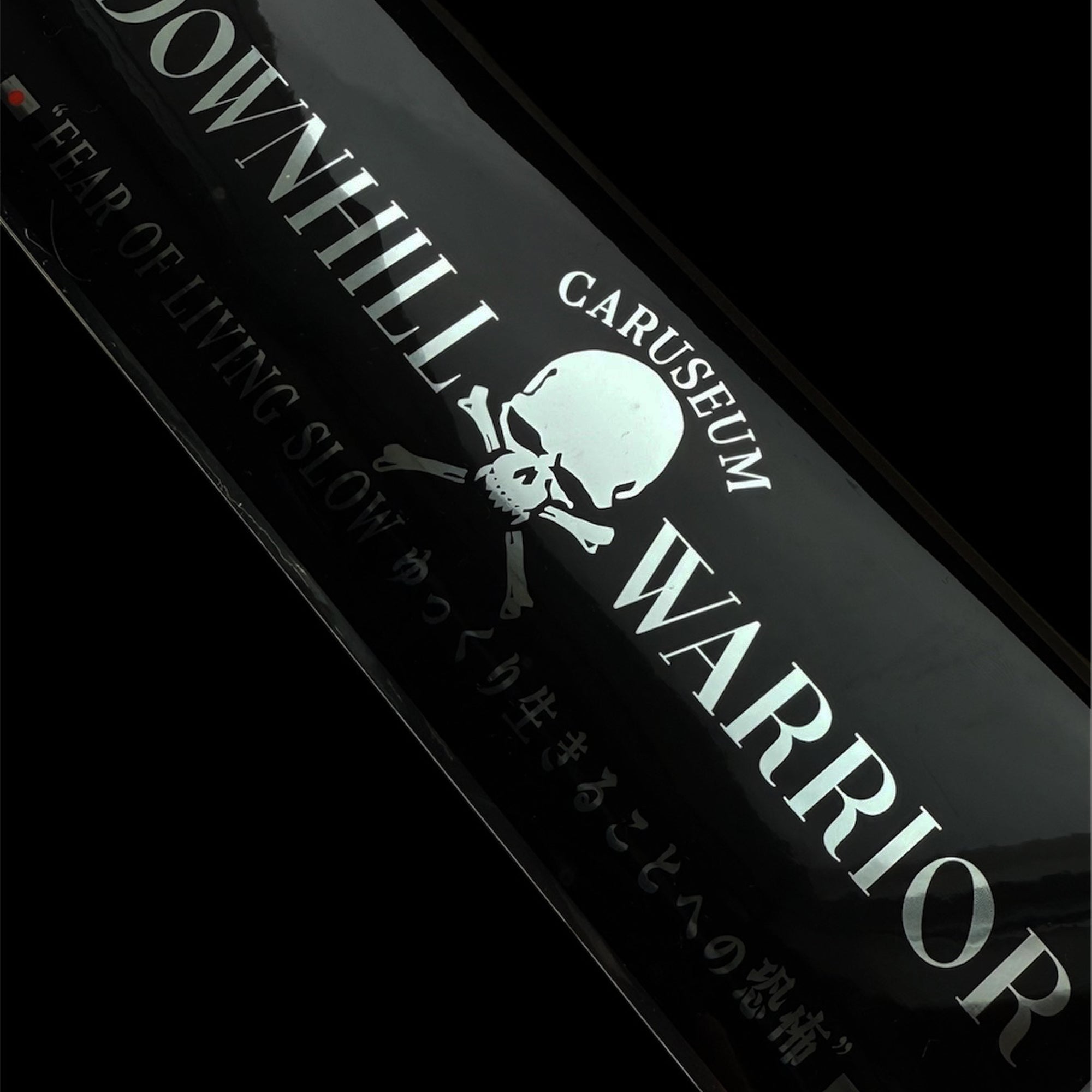 Downhill Warrior